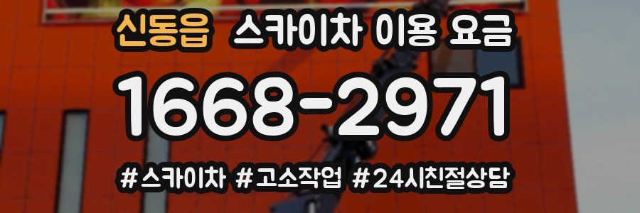 신동읍 스카이차 이용 요금