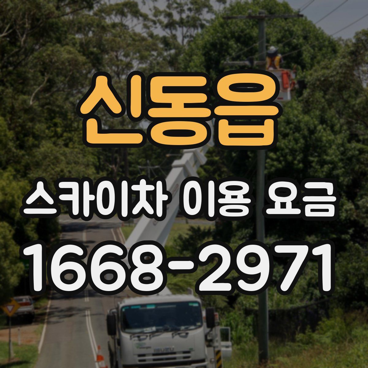 신동읍 스카이차 이용 요금