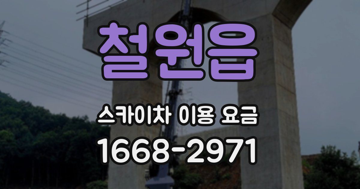 철원읍 스카이차 이용 요금