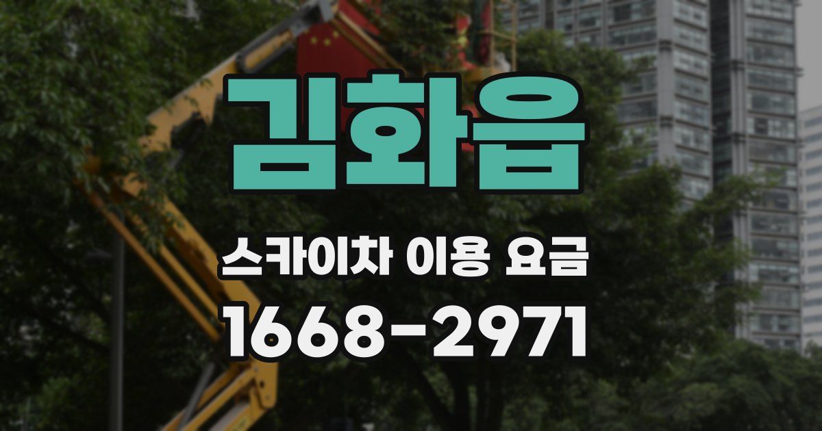 김화읍 스카이차 이용 요금