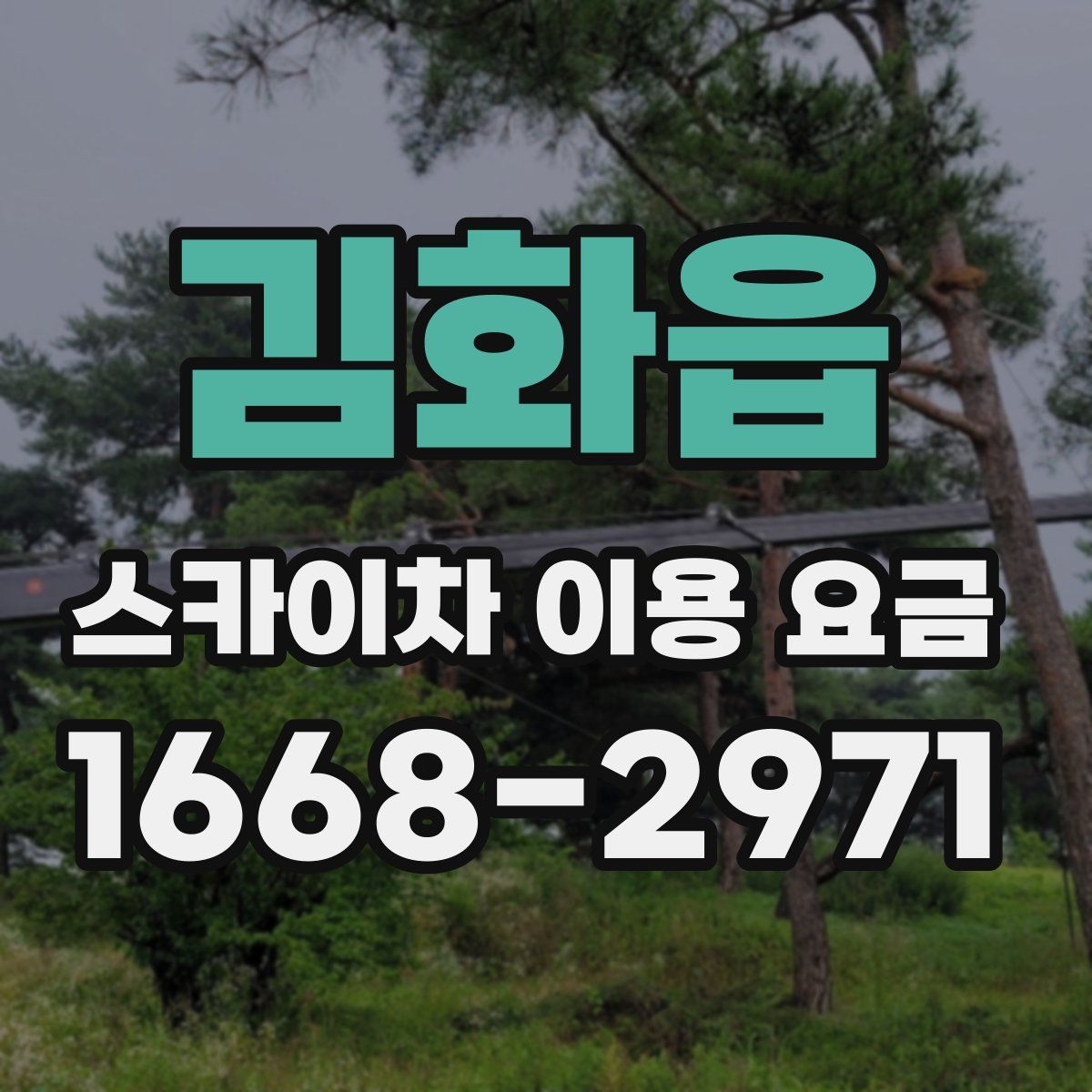 김화읍 스카이차 이용 요금