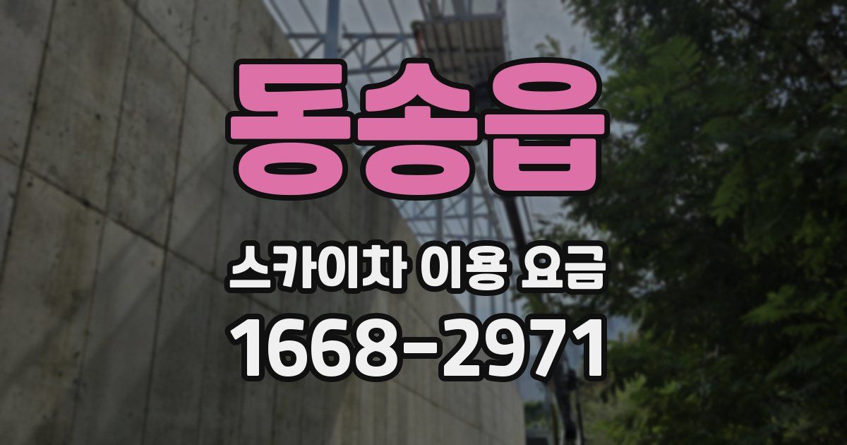 동송읍 스카이차 이용 요금