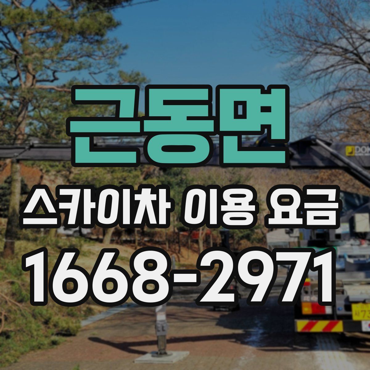 근동면 스카이차 이용 요금