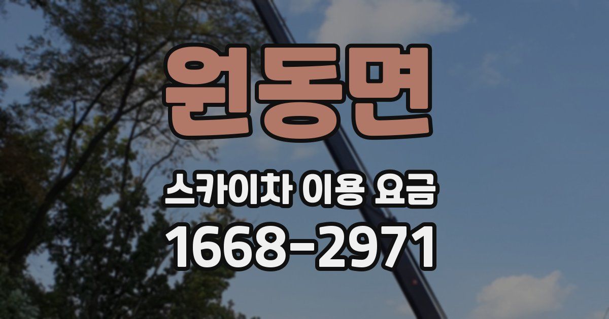 원동면 스카이차 이용 요금