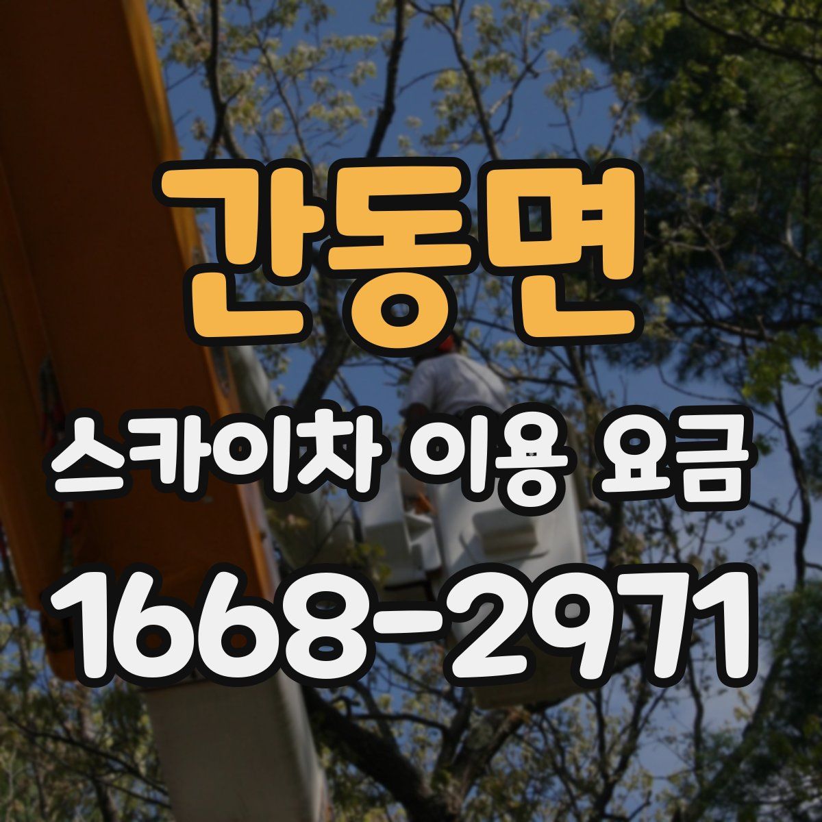 간동면 스카이차 이용 요금