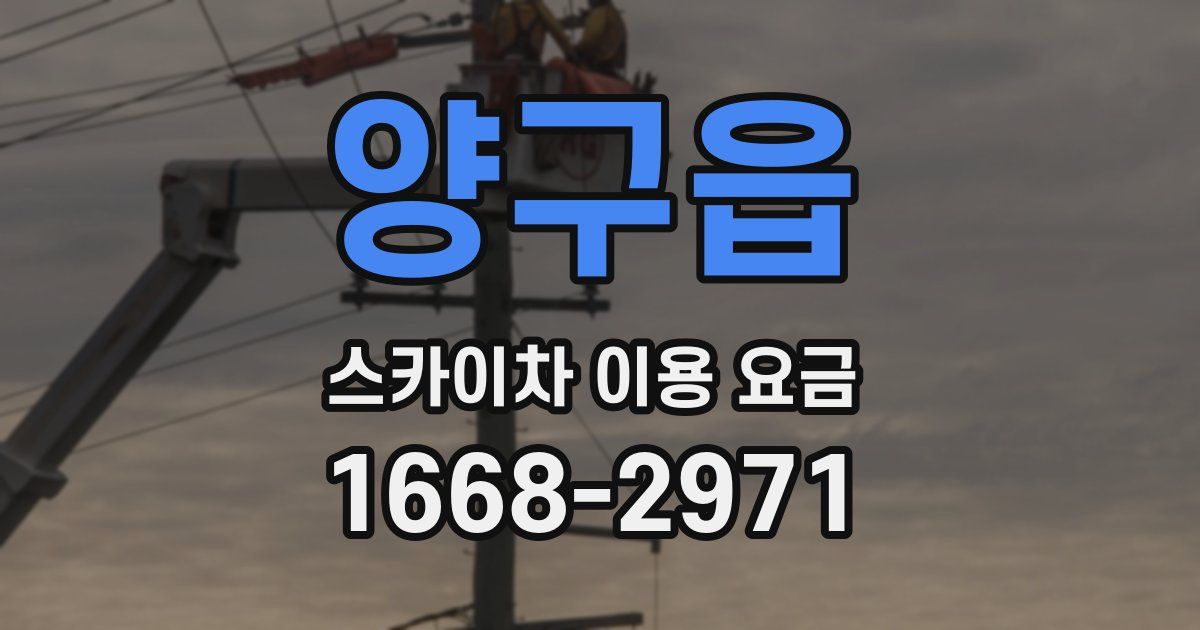 양구읍 스카이차 이용 요금
