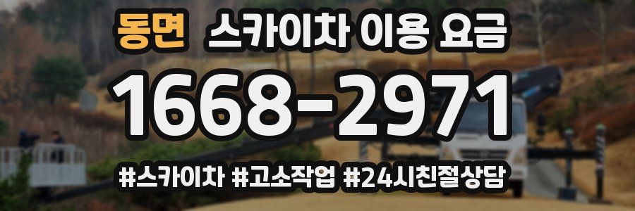 동면 스카이차 이용 요금
