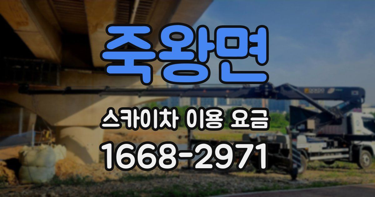 죽왕면 스카이차 이용 요금