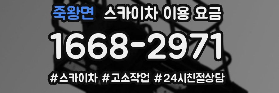 죽왕면 스카이차 이용 요금