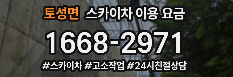 토성면 스카이차 이용 요금