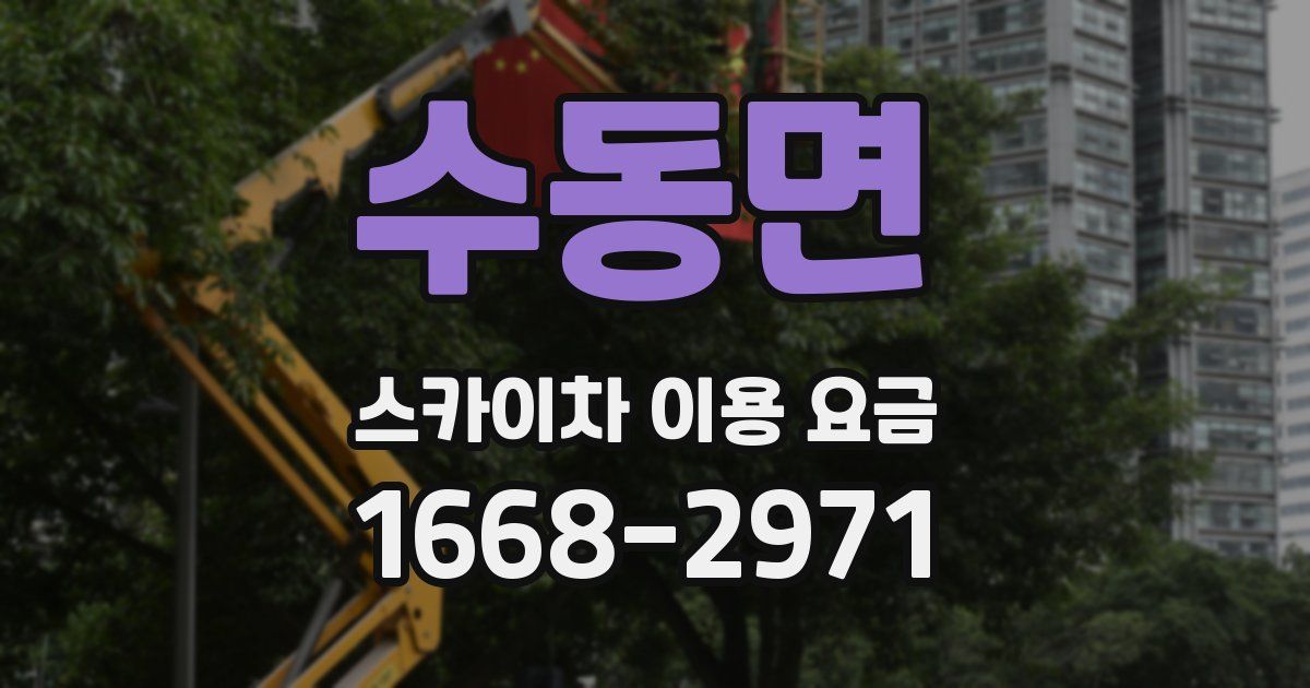 수동면 스카이차 이용 요금