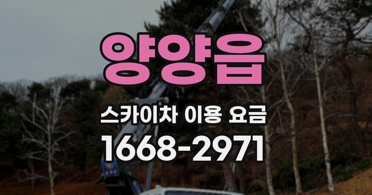 양양읍 스카이차 이용 요금