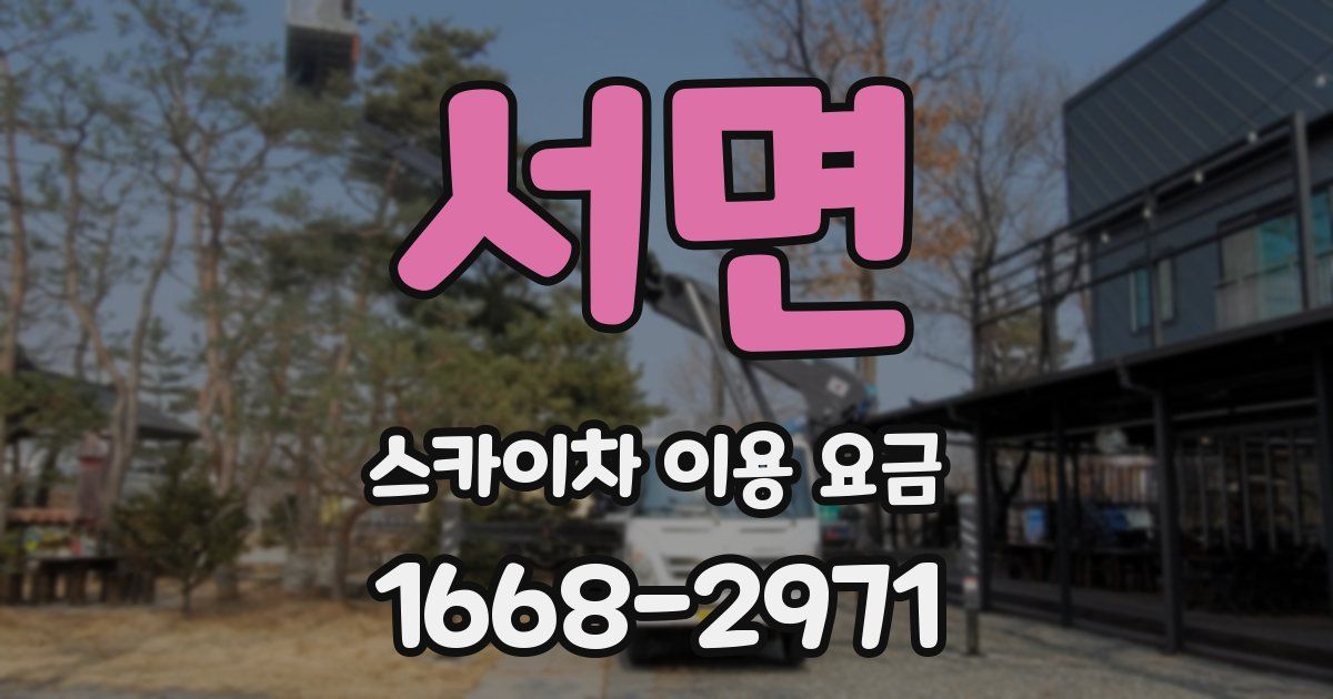 서면 스카이차 이용 요금
