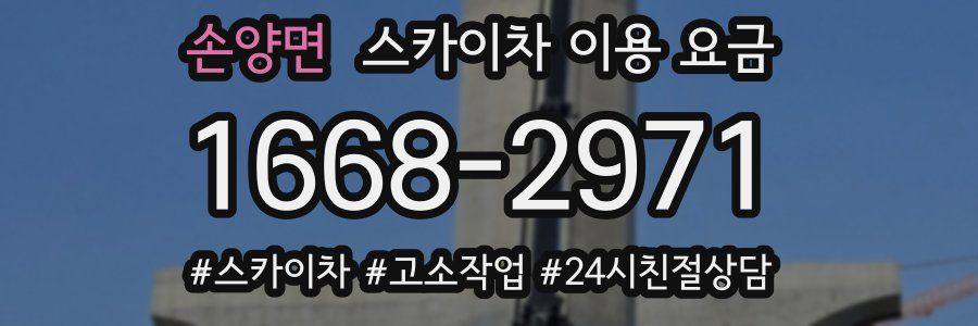 손양면 스카이차 이용 요금