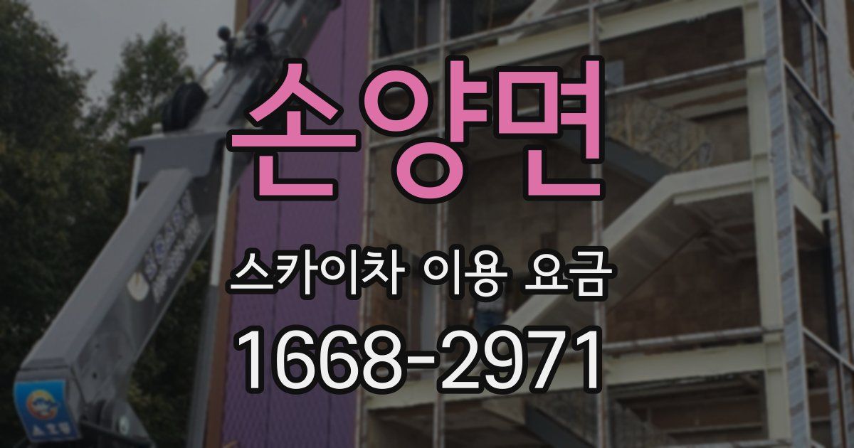 손양면 스카이차 이용 요금