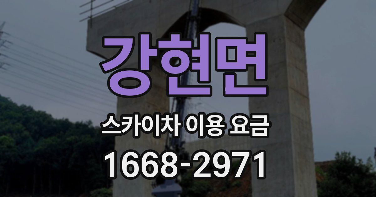 강현면 스카이차 이용 요금