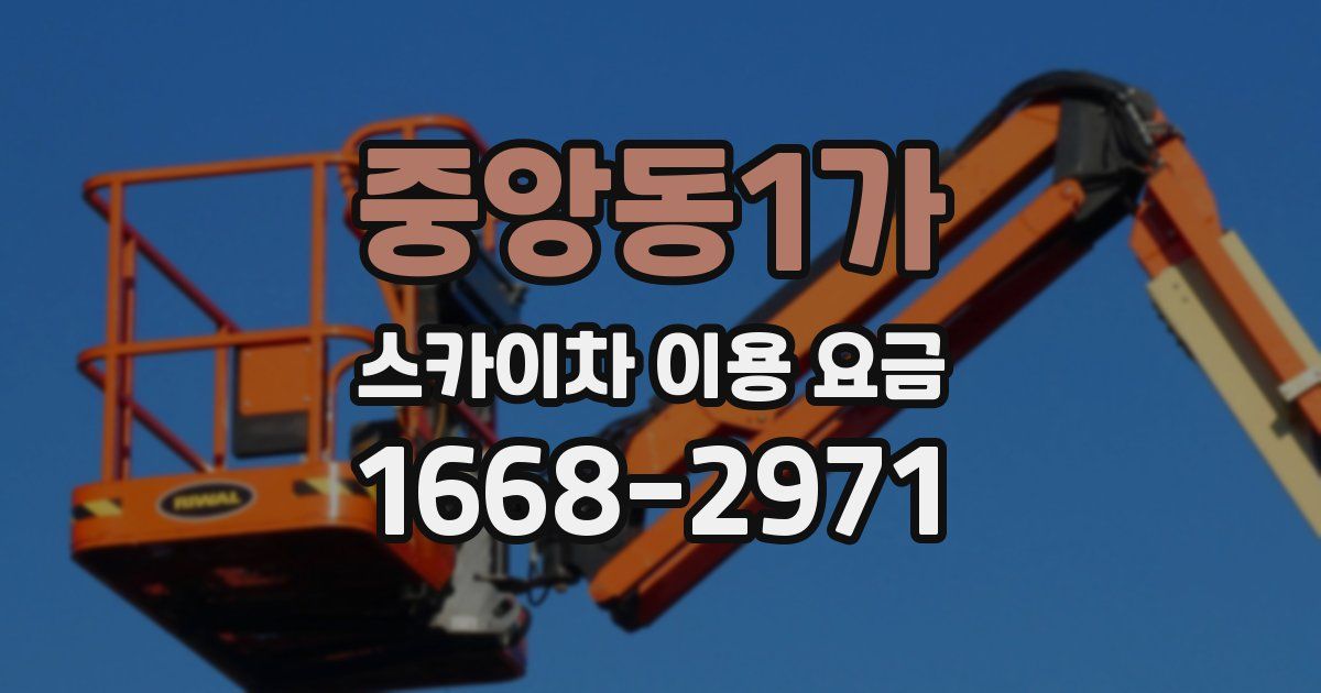 중앙동1가 스카이차 이용 요금