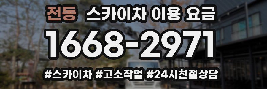전동 스카이차 이용 요금