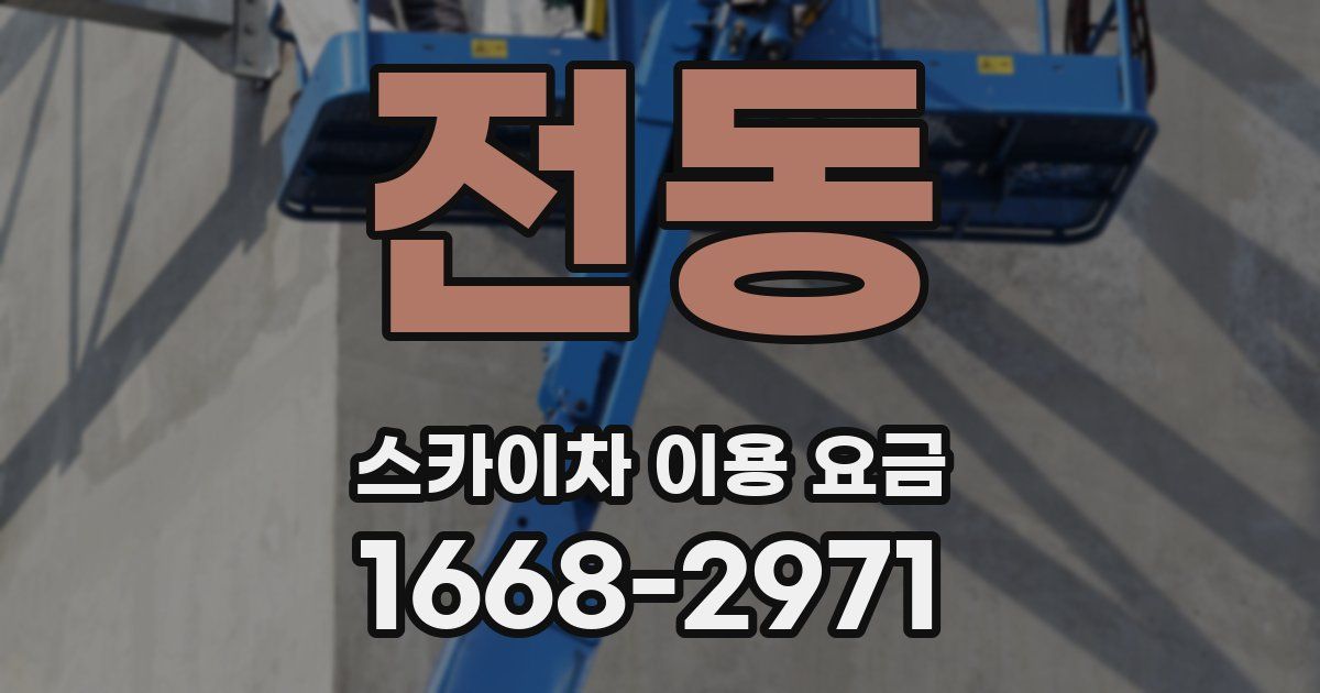 전동 스카이차 이용 요금