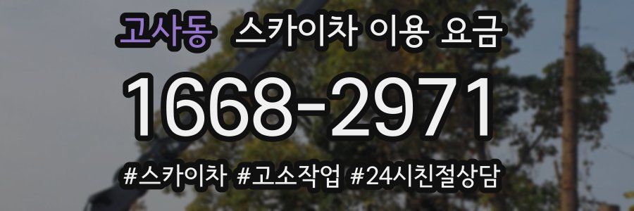 고사동 스카이차 이용 요금