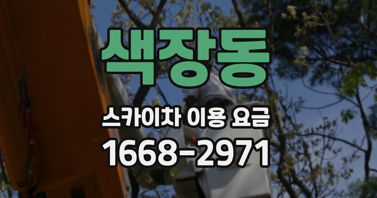 색장동 스카이차 이용 요금