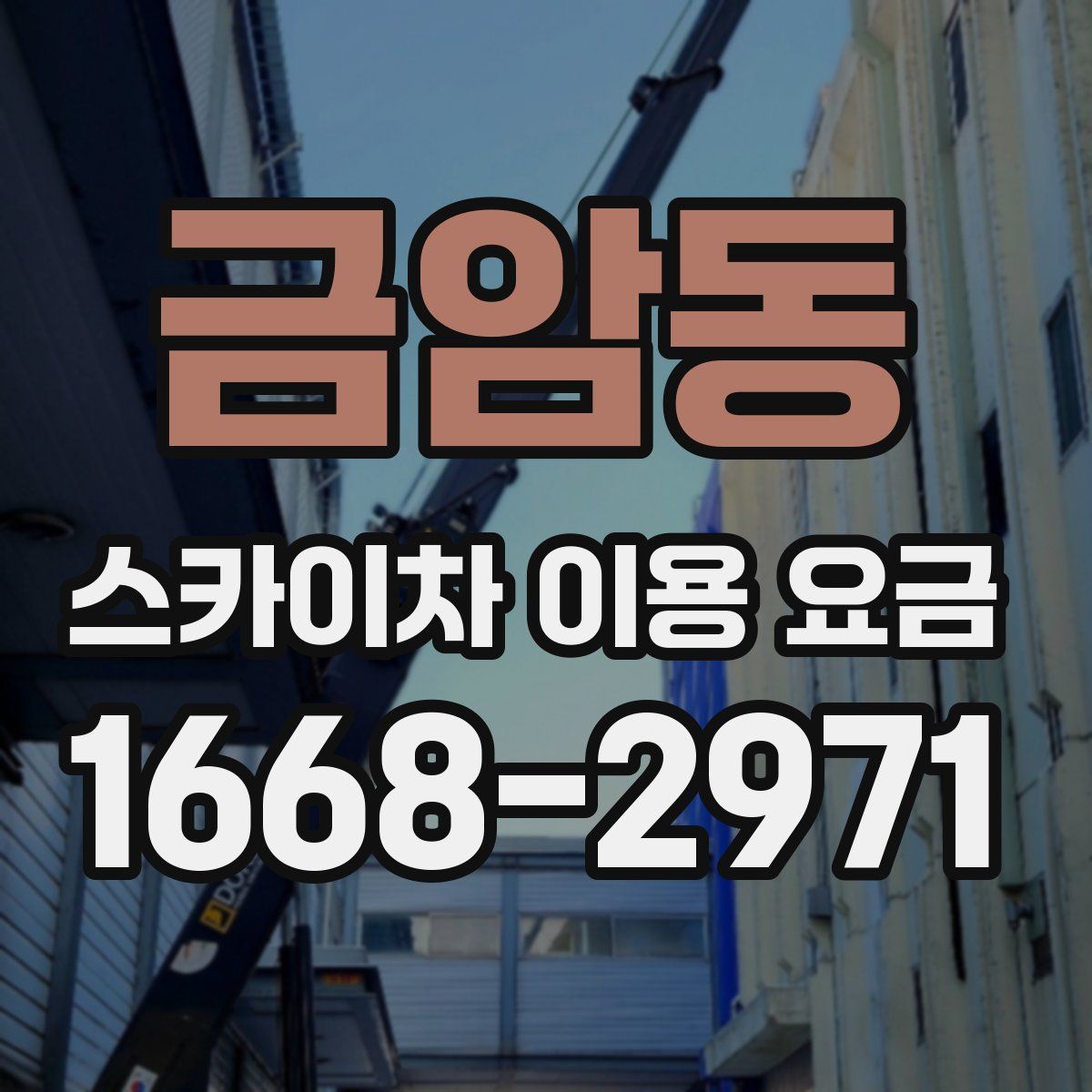 금암동 스카이차 이용 요금