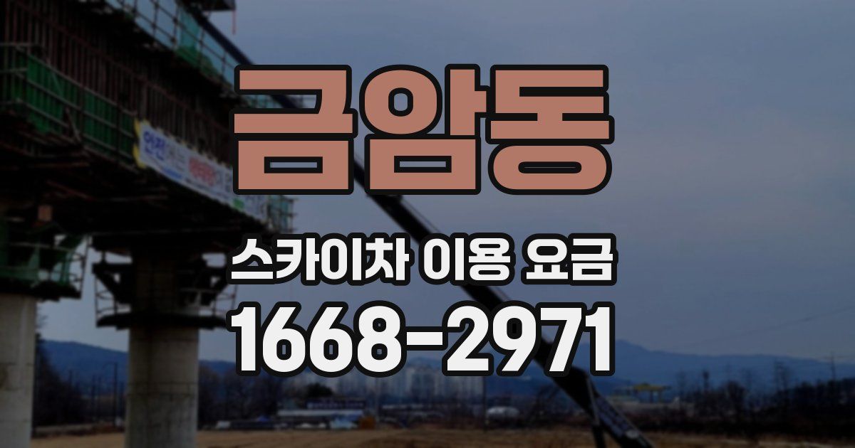 금암동 스카이차 이용 요금