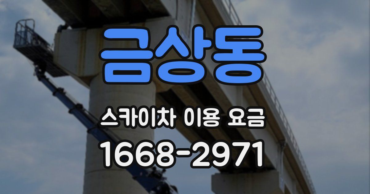 금상동 스카이차 이용 요금