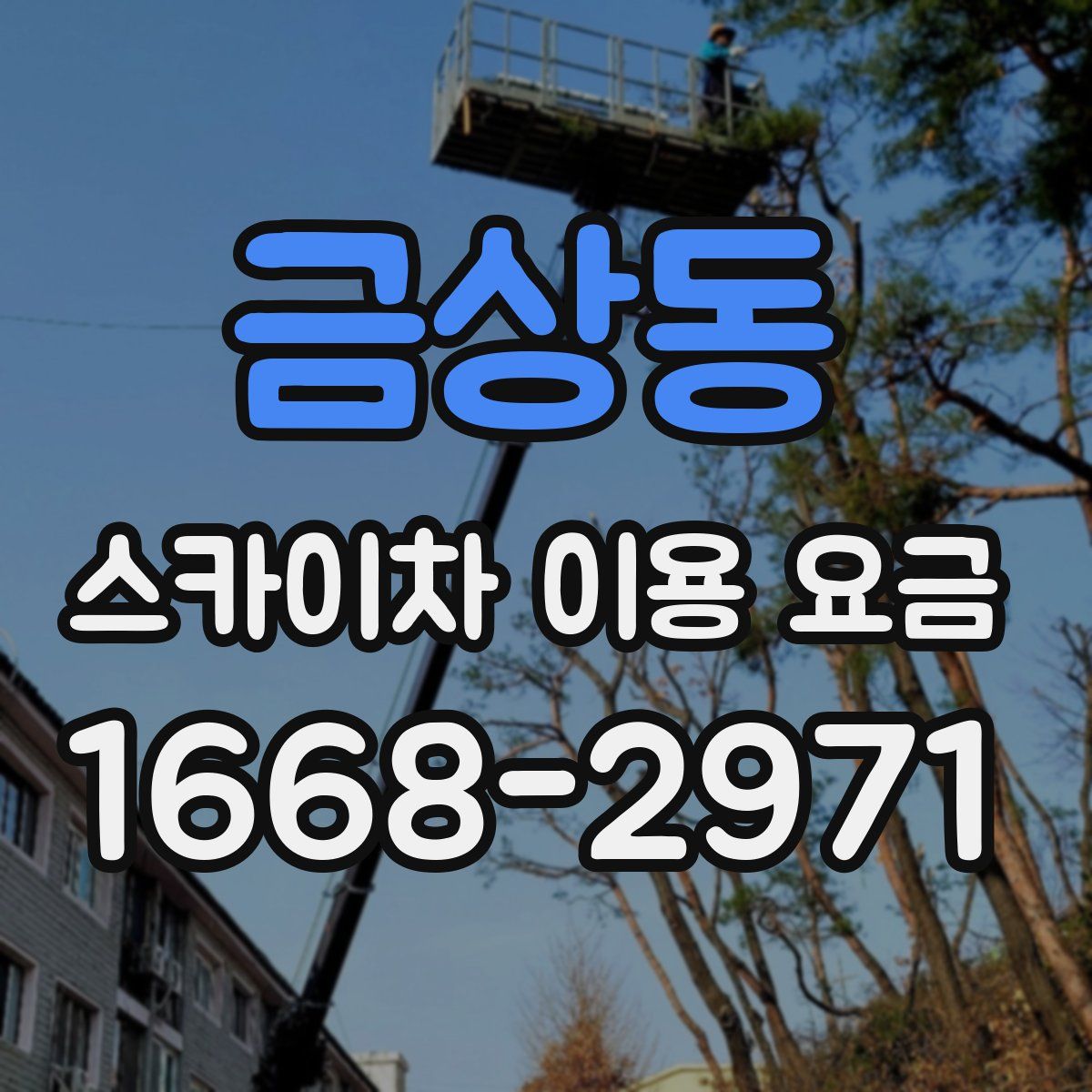 금상동 스카이차 이용 요금