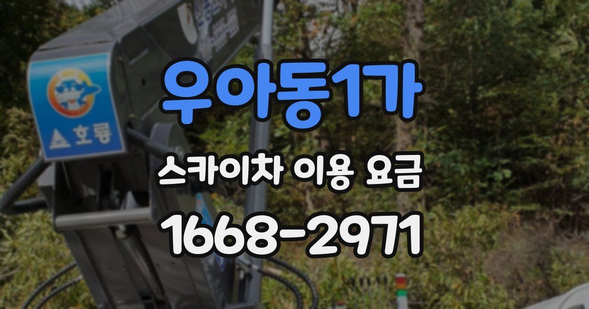 우아동1가 스카이차 이용 요금