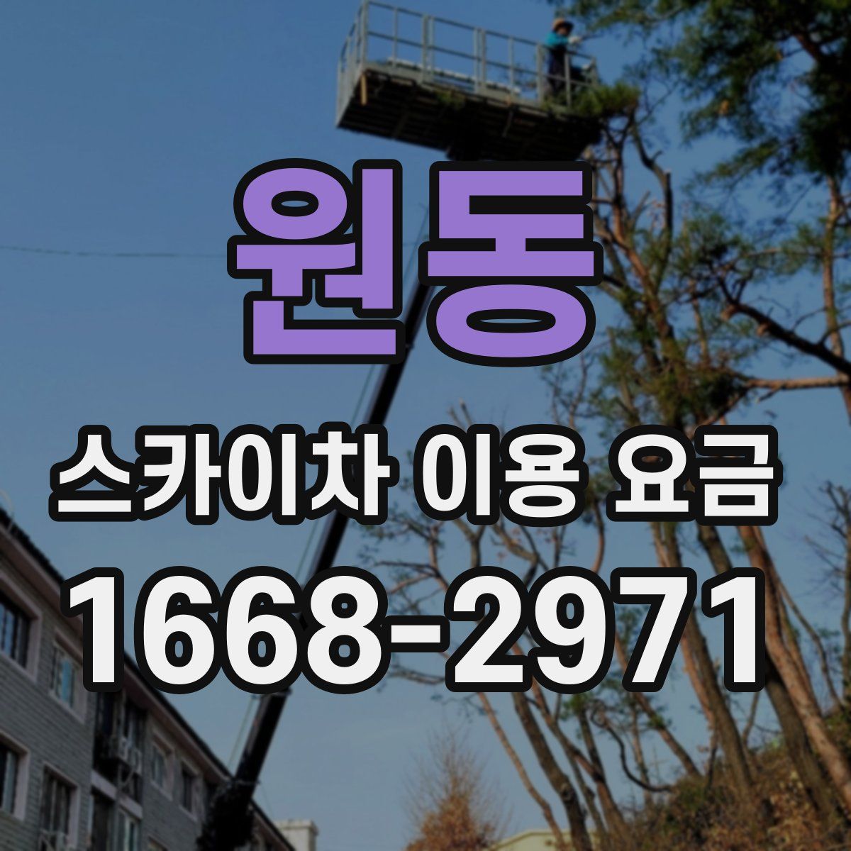 원동 스카이차 이용 요금