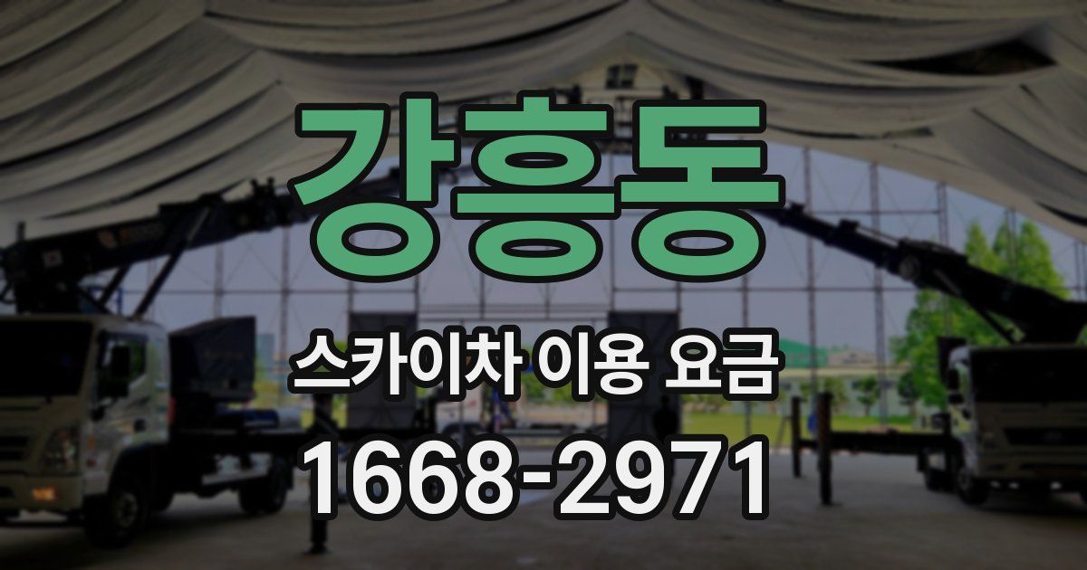 강흥동 스카이차 이용 요금