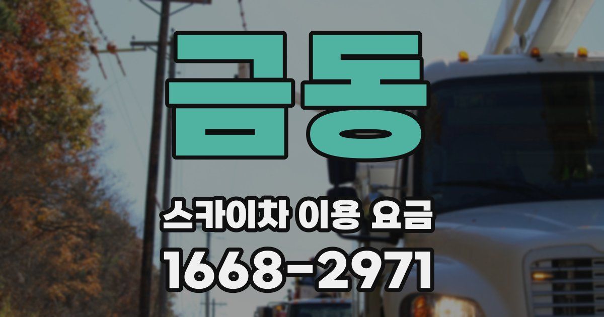 금동 스카이차 이용 요금