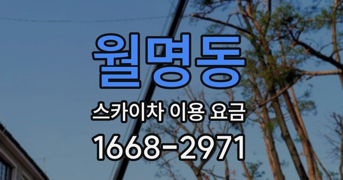 월명동 스카이차 이용 요금
