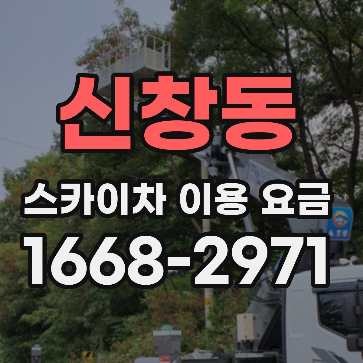 신창동 스카이차 이용 요금 구성과 추가 비용 살펴보기