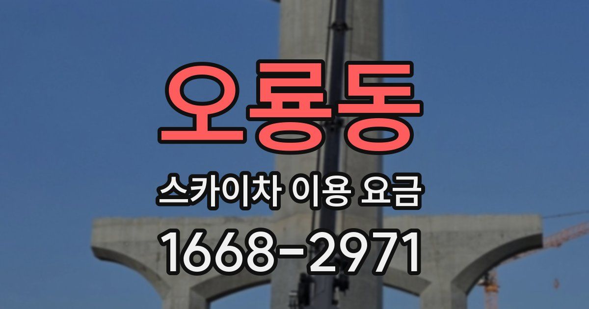 오룡동 스카이차 이용 요금