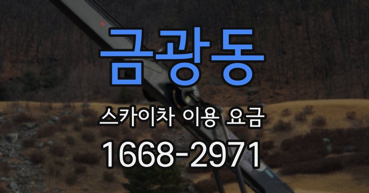 금광동 스카이차 이용 요금