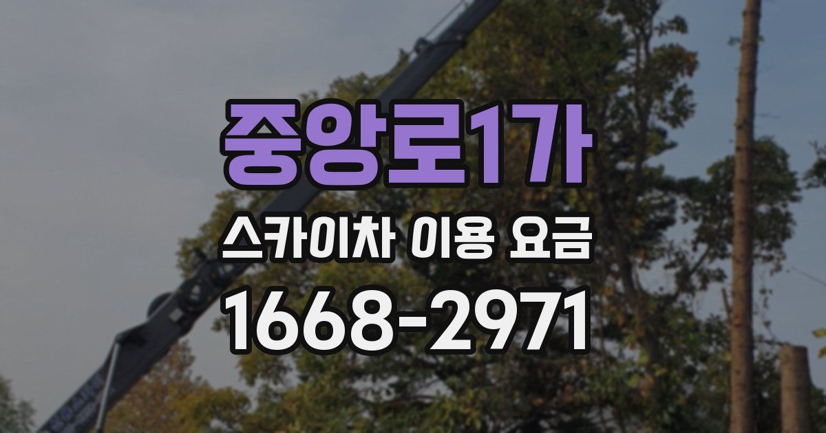 중앙로1가 스카이차 이용 요금