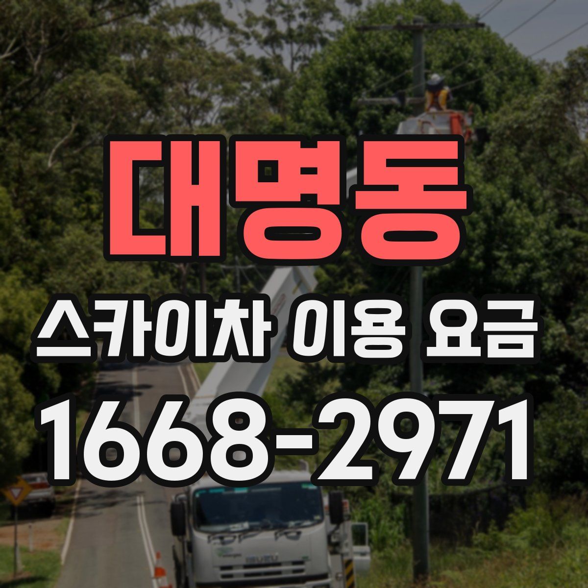 대명동 스카이차 이용 요금
