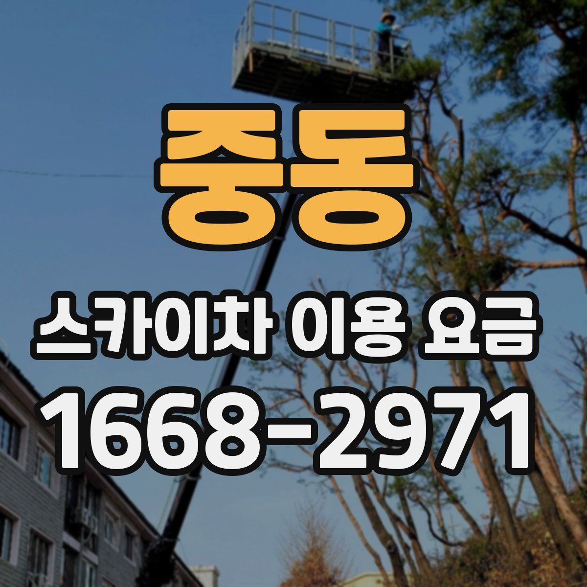 중동 스카이차 이용 요금