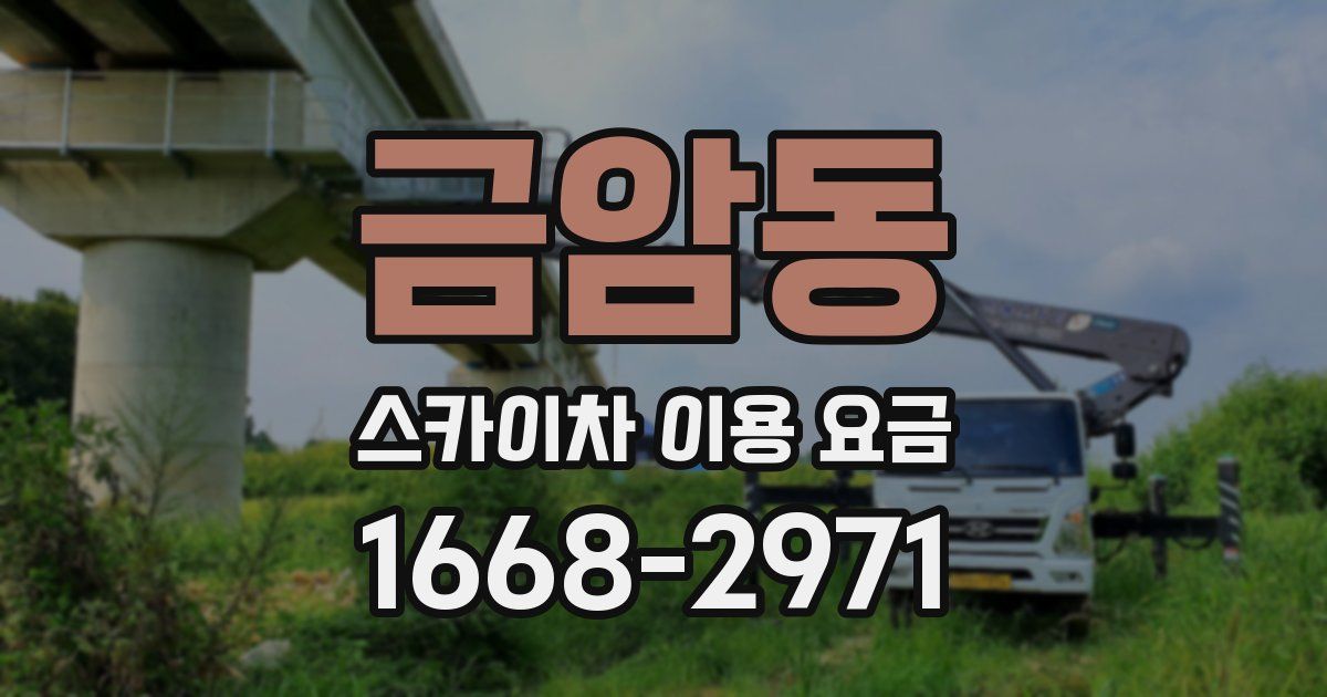 금암동 스카이차 이용 요금