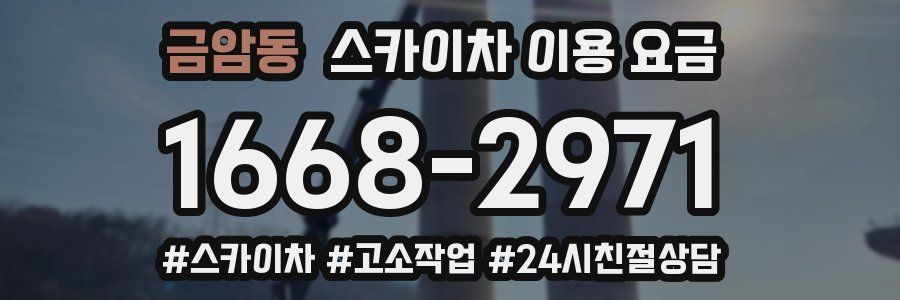 금암동 스카이차 이용 요금
