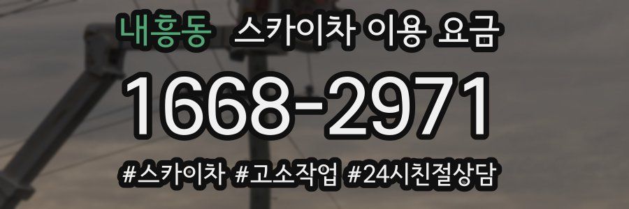 내흥동 스카이차 이용 요금