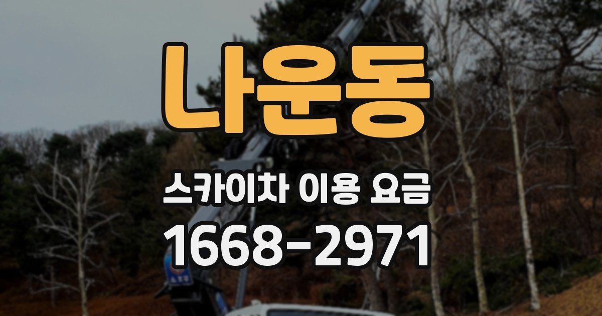 나운동 스카이차 이용 요금
