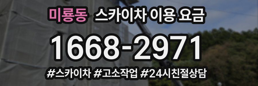 미룡동 스카이차 이용 요금