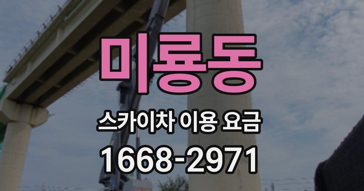 미룡동 스카이차 이용 요금