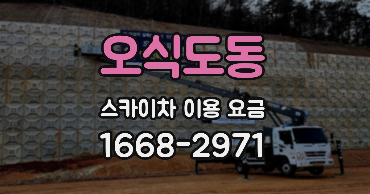 오식도동 스카이차 이용 요금
