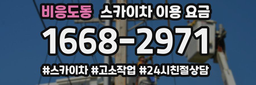 비응도동 스카이차 이용 요금