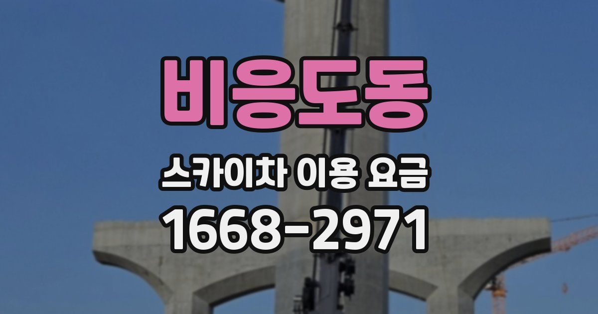비응도동 스카이차 이용 요금