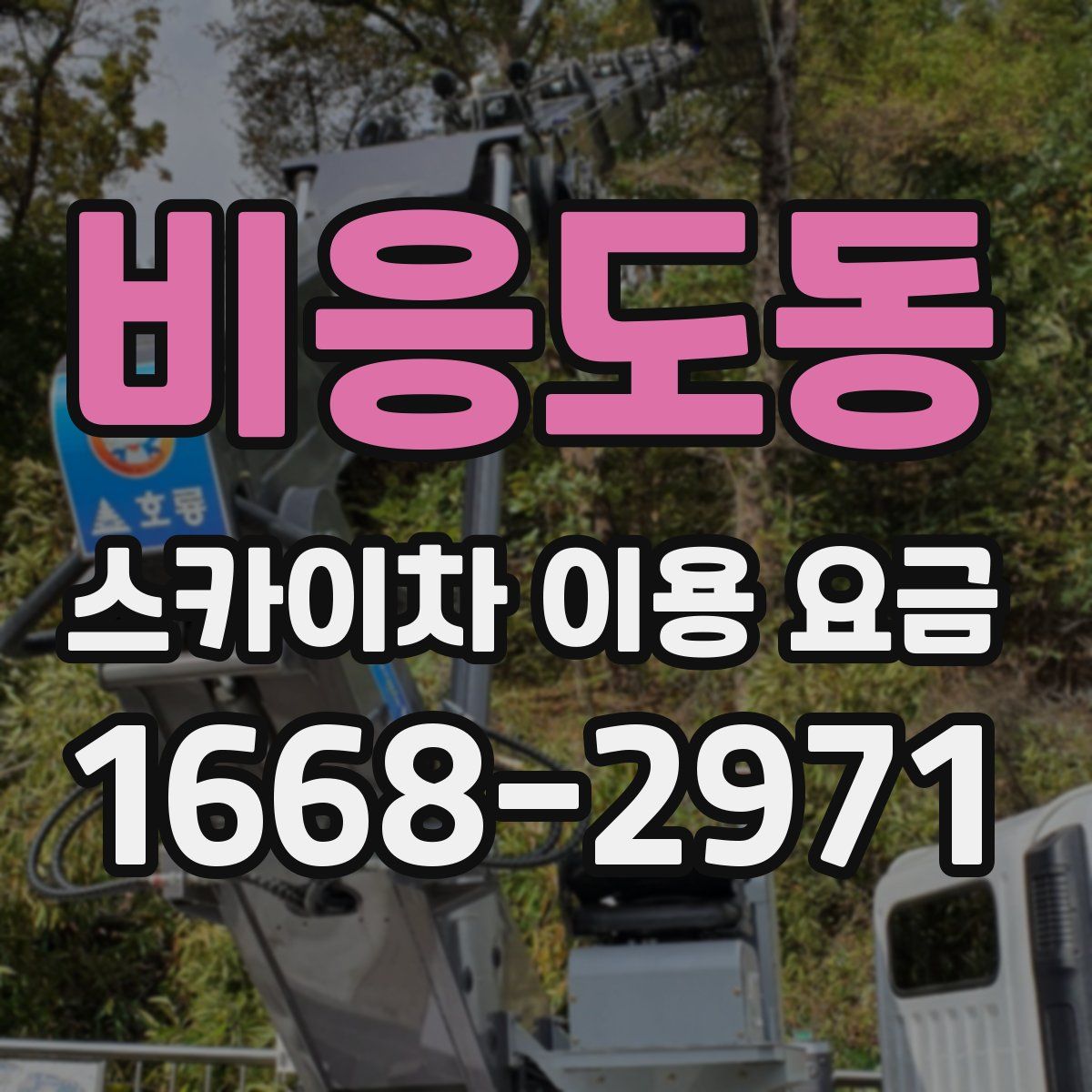 비응도동 스카이차 이용 요금